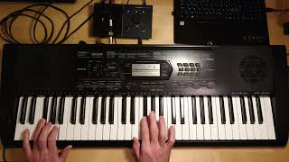 Video thumbnail for CASIO CTK-3000 The Riddle by Valentin Didenko