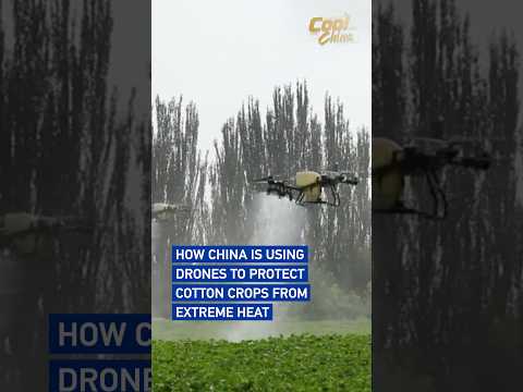 How China is using drones to protect cotton crops from extreme heat #coolchina