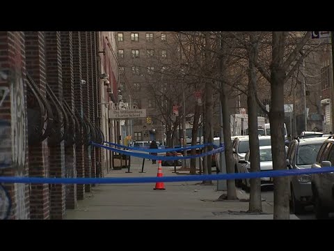 Brooklyn high school rallies against gun violence
