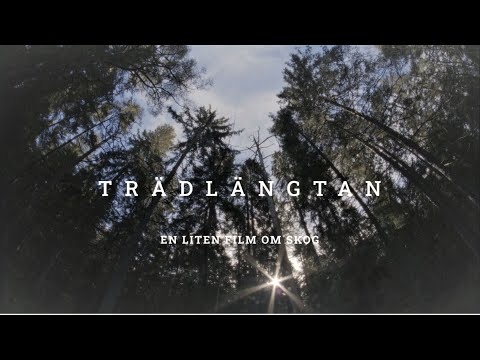 En liten film om svensk skog