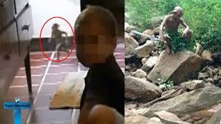 10 Real Goblins Caught On Tape & Spotted  In R