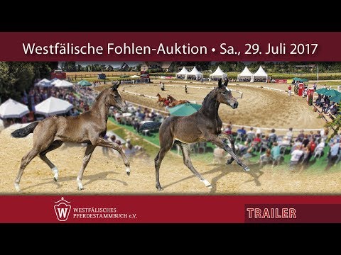 Westfälische Fohlenauktion, 29. 07. 2017. Der Trailer