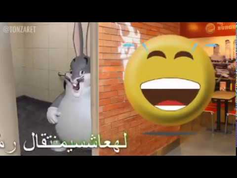 chungus خنبشحخق ARABIC language (خمنبيخبن حسيخب سشخنبشحخقهلت)