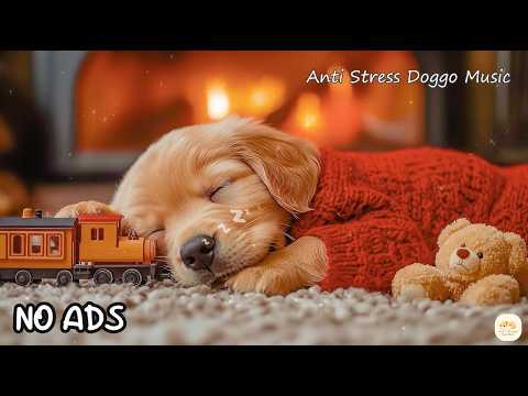 12 HOURS Soft Dog Music 🐶Anti-Separation Anxiety Relief Music 🎵 Dog Sound Therapy
