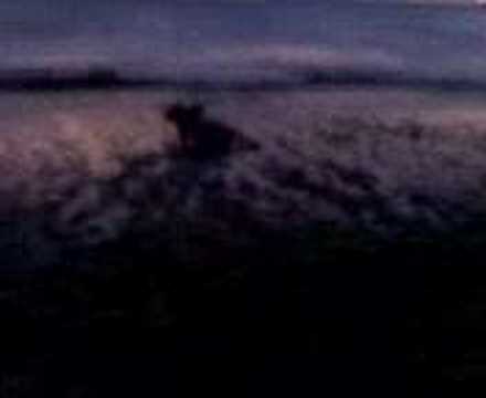 revolcon en la playa de casimar, amuay