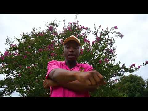 Tonii B - Crash Out (Visualizer)