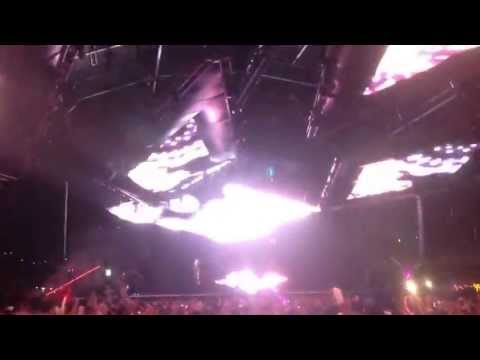 Zombie Rattle, into Martin Garrix- Animals, into Bingo Players- Calling Rattle, back into Animals...