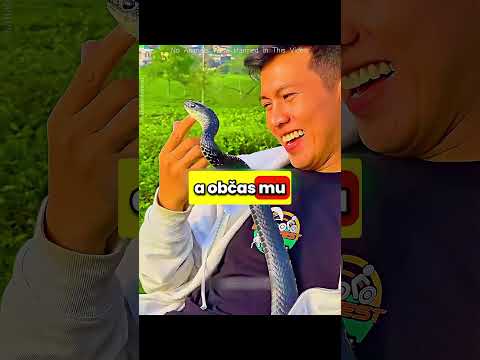 KOBRA vs MUŽ!🩸😱