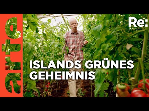 Das Gemüsewunder von Island | ARTE Re: