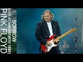 Pink Floyd - Sorrow (Live at Knebworth 1990)