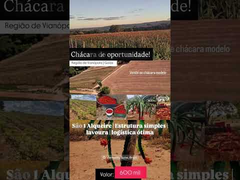 Chácara 1 Alqueire em Vianópolis - GO | whatsapp 62 99373-6407