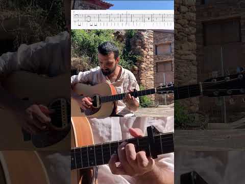 L'espantaocells - El Pony Pisador