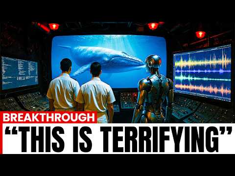 Scientists Just Decoded Language of the Whales Using AI... And It's Not What You Think