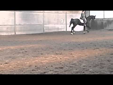 4 j Vivaldi x deniro