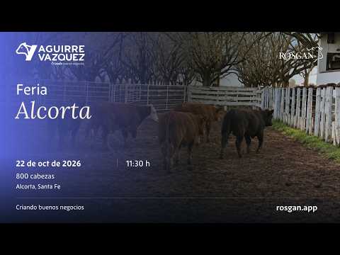Feria Alcorta | Alcorta, Santa Fe