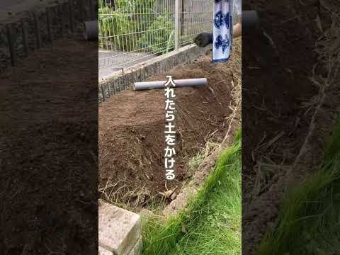 未熟な堆肥を家庭菜園に使用できますか?何のために ？リスクは何ですか?  庭園