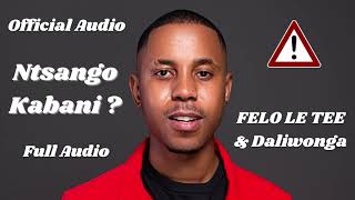 Felo Le Tee & Mellow and Sleazy   Dipatje Tsa Feloo ft Daliwonga & Dj Sumbody   Official Audio