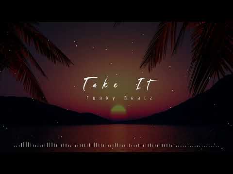Tom Novy - Take It (Funky Beatz Bootleg)