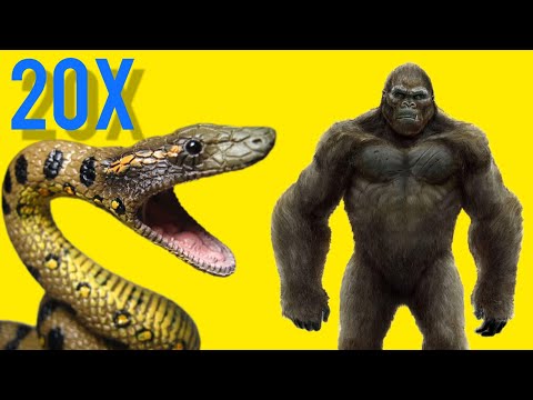 20X Green Anacondas VS Goro. ARBS mobile | Animal Revolt Battle Simulator