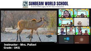 Virtual Jungle Safari 🦁🌿 | Fun Learning at Sunbeam World School