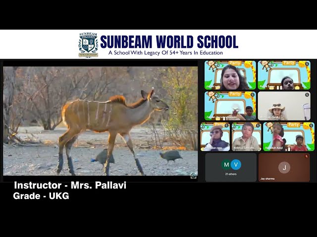 Virtual Jungle Safari 🦁🌿 | Fun Learning at Sunbeam World School