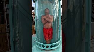 This is unreal... inside of the ship!! #cruise #msc #vacation @msccruisesofficial