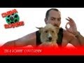 8 92 Zeus And Roxanne 1997 Review