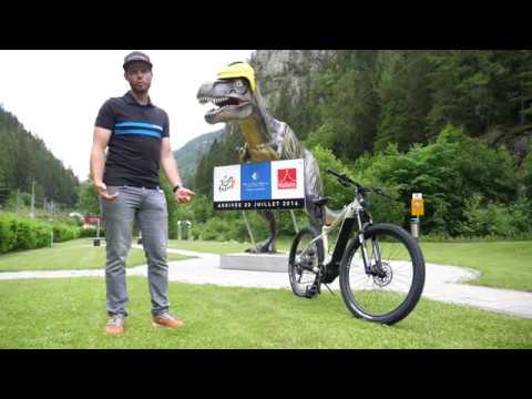 E-Bikes-Verleih