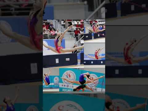 Nilgün Sarıoğlu 2019