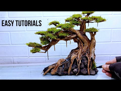 Einfache Technik zur Herstellung von Bonsai für Aquascape