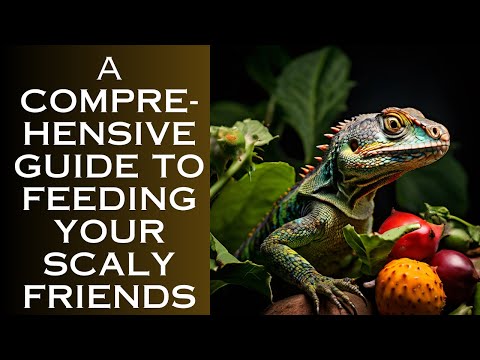 A Comprehensive Guide to Feeding Your Scaly Friends