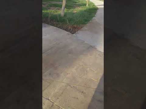 Unbelievable Agadir Beach Tour! You Won't Believe This...