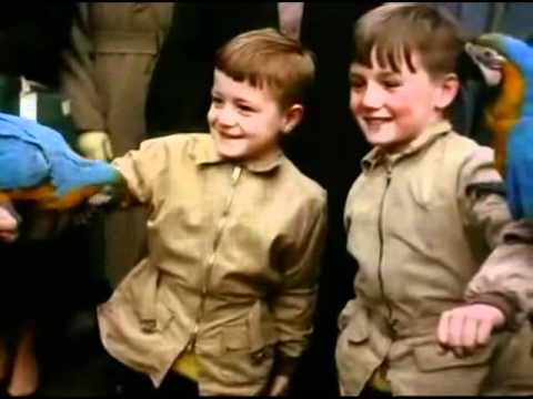 MAYBE IT'S BECAUSE I'M A LONDONER Tony O'Malley