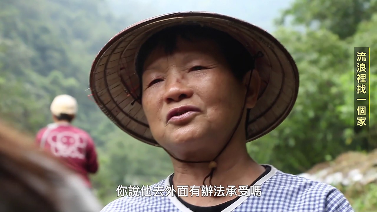 流浪找一個家