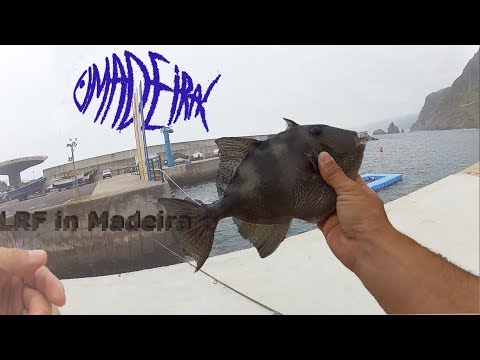 Kystfiskeri på Madeira