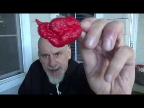 THE "?" MYSTERY POD GROWN BY EARL CANIDA FROM EARL'S GHOST!!! PART I