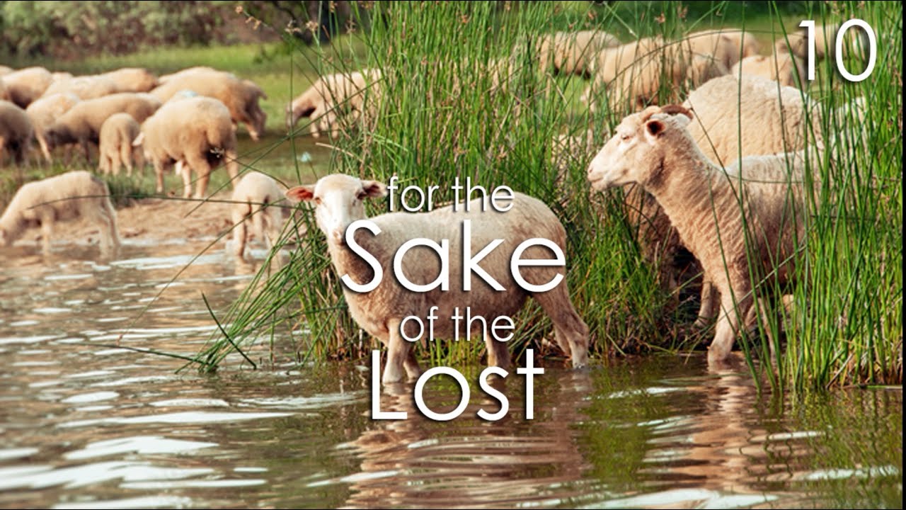 For the Sake of the Lost - 10