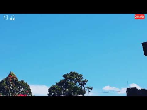 YOUNG LEX - LAH BODO AMAT "CLEAN VERSION"FT. SEXY GOATH & HALIANI