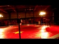 THE HORSES AT THE CIRCUS