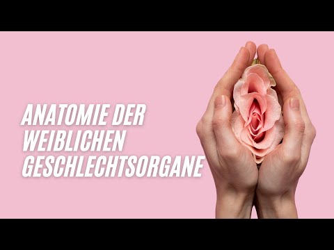 Anatomy of the female reproductive organs - Prof. Mira explains