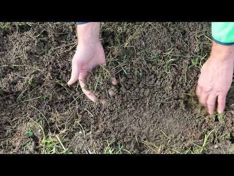 Flächenrotte richtig gemacht