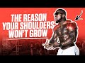 This Is Why Your Shoulders Won’t Grow | Proper Progression | Mike Rashid
