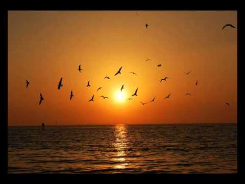 Audision-Yellow Sunset (Robag Wruhme Stoylago Edit)
