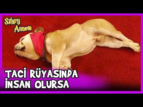 Taci Rüyasında FANİ Olduğunu Gördü - Sihirli Annem 35. Bölüm