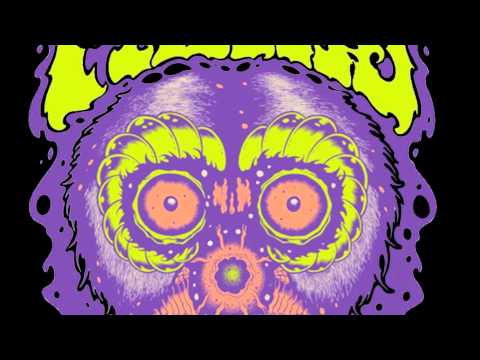 Help fund the new album by The Freeks