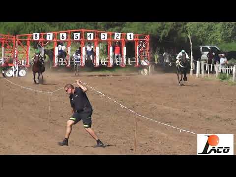 ADONIS HIPODROMO PANGARE 20 02 2022