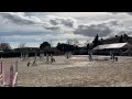 Poney maître d’ecole de p2 à p élite à louer