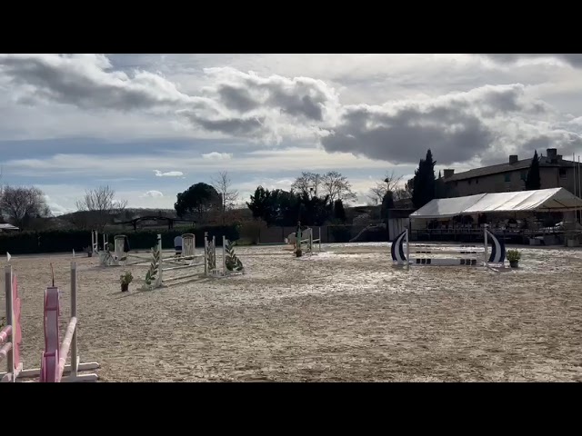 Poney ma&icirc;tre d&rsquo;ecole de p2 &agrave; p &eacute;lite &agrave; louer 