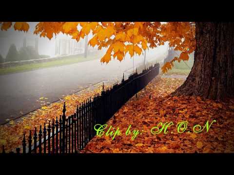 Đường chiều lá rụng Sheet - Thái Thanh