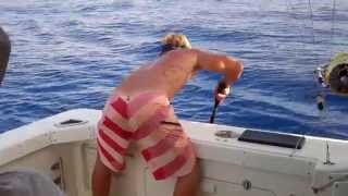 Mahi Mahi Maui, Start Me Up Fishing Charter May 2014